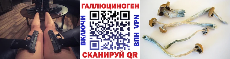 ссылка на мегу маркетплейс  Сясьстрой  Псилоцибиновые грибы мухоморы  наркота 